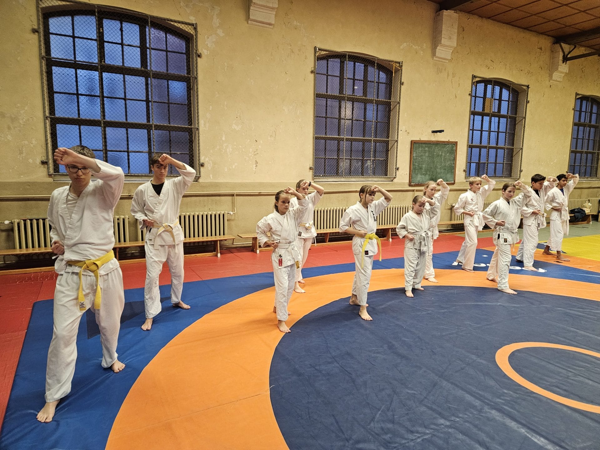 Karateka beim gemeinsamen Kata-Training in der Sporthalle